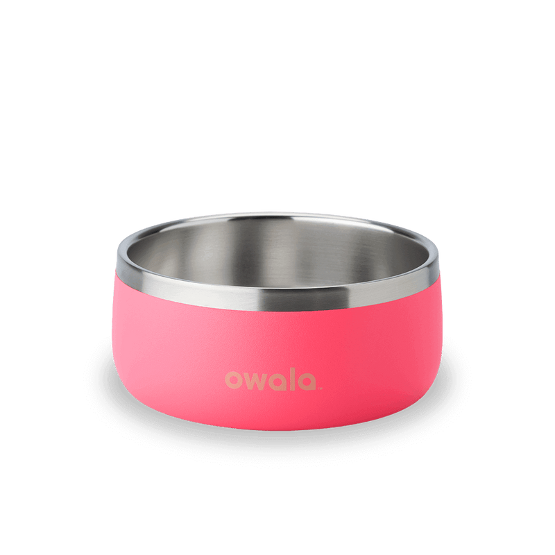 Pet Bowl - 3 cups / Hyper Flamingo