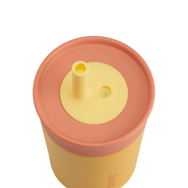 Kids' Tumbler - 12oz / Picnic / Stainless Steel