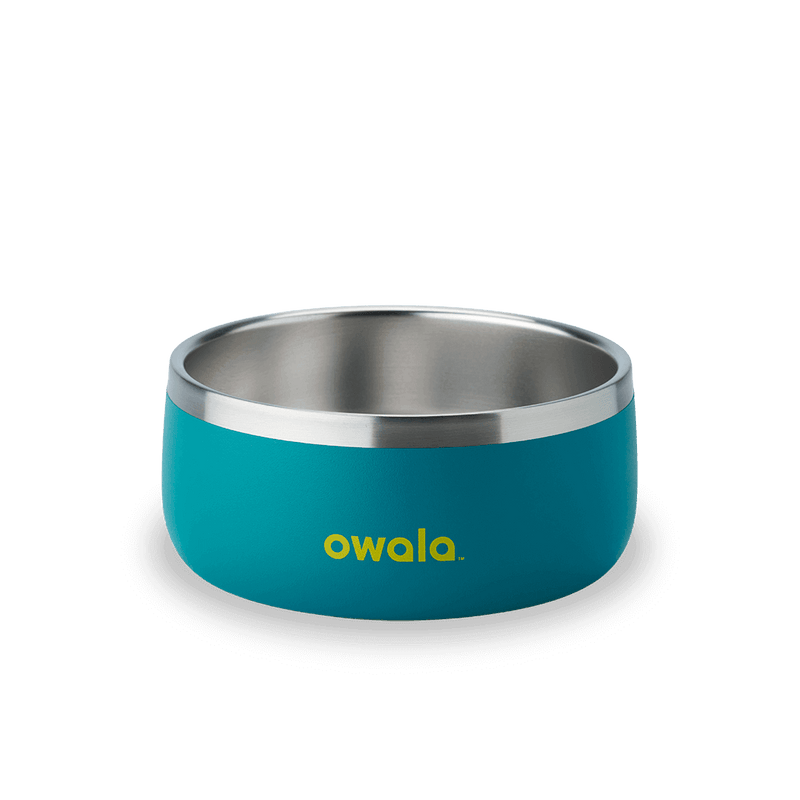 Pet Bowl - 3 cups / Turquoise &amp; Caicos