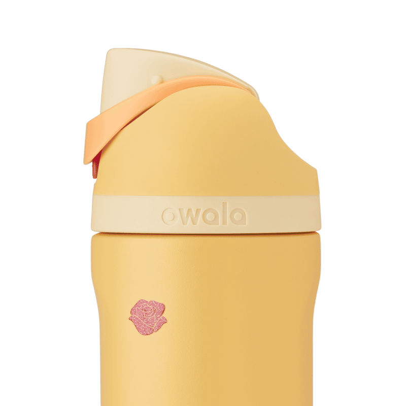 Disney Princess Collection - Belle / 24oz / FreeSip