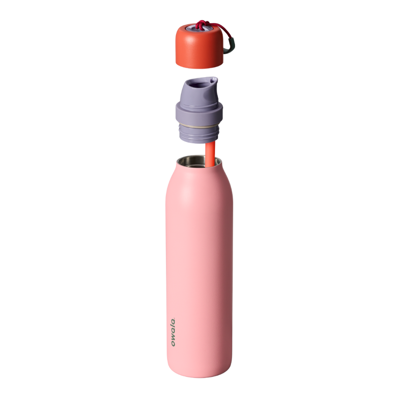 FreeSip® Twist - Sugar High / 24oz / Stainless Steel